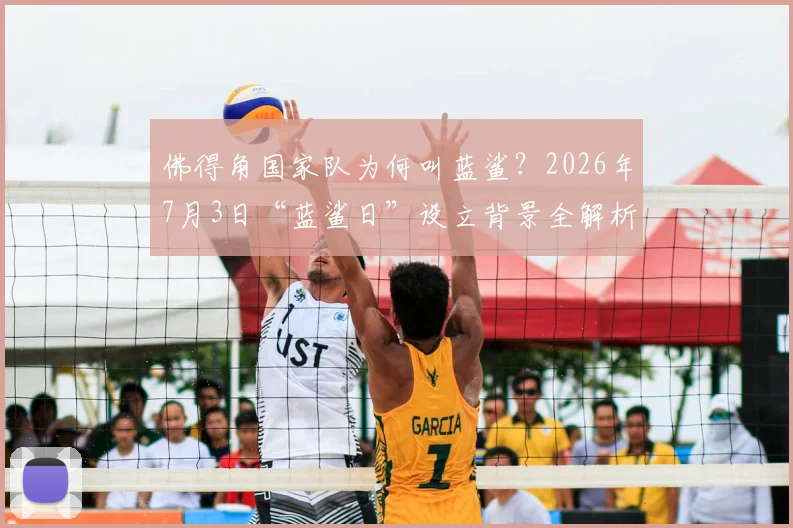 佛得角国家队为何叫蓝鲨?2026年7月3日“蓝鲨日”设立背景全解析,回顾对阵阿根廷经典之战
